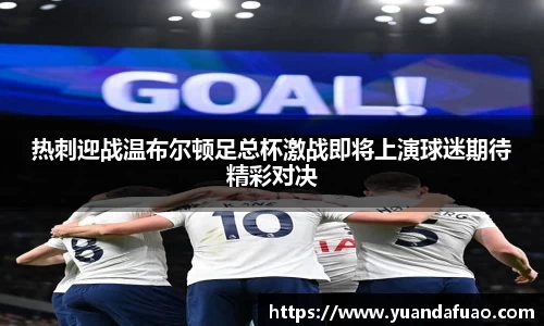 热刺迎战温布尔顿足总杯激战即将上演球迷期待精彩对决